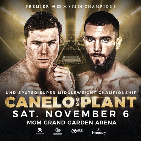 canelo next fight 2021.